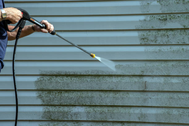 Best Roof Pressure Washing  in Clayton, NC