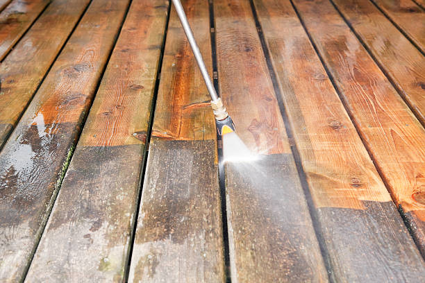 Best Roof Pressure Washing  in Clayton, NC